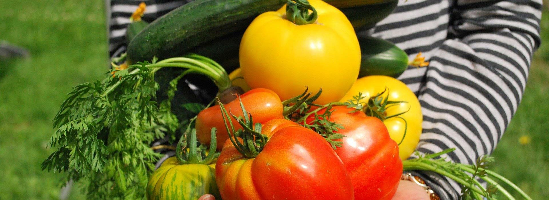 LÉGUMES QUOTIDIEN LÉGUMES QUOTIDIEN